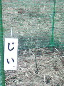 じい