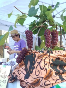 1-ブドウを愛してやまないブドウ農家G-grapefarmの小林さん