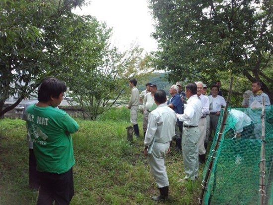 1-栗栽培講習会