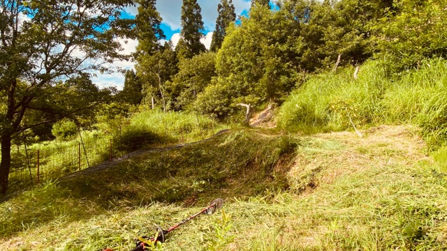 かつてのため池跡2021-07-02