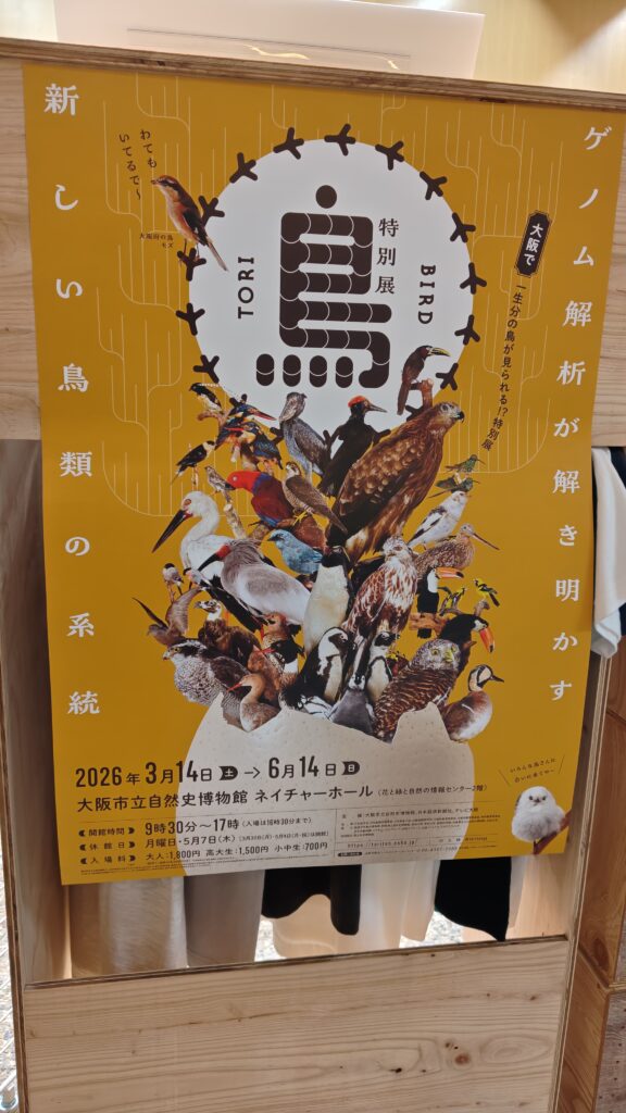 特別展『鳥』01